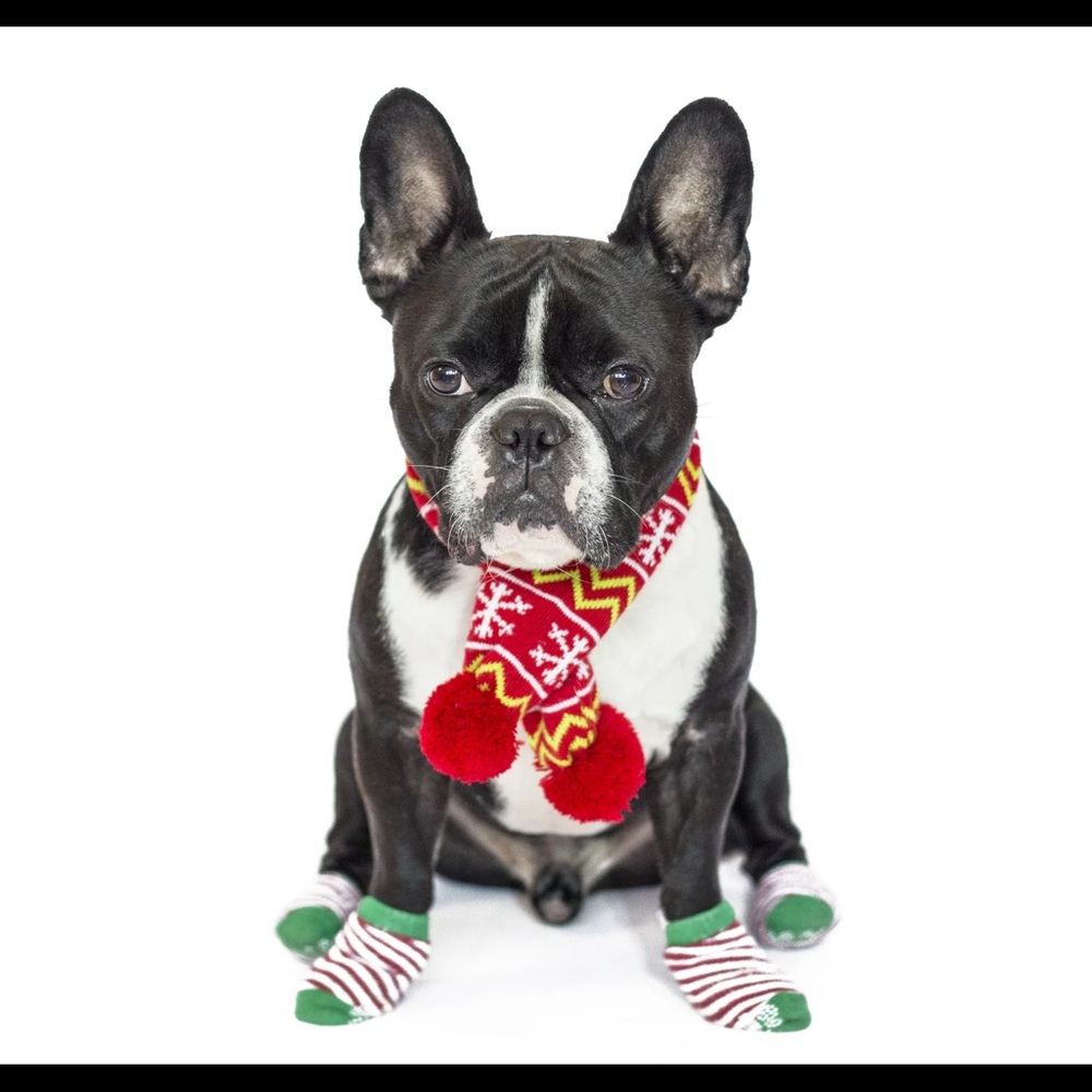 Petsmart holiday knit scarf